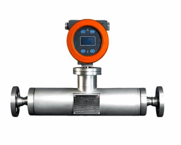 DTGMFM Type mass flow meter